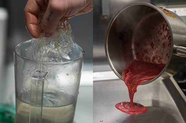 A chef blending the ingredients to make the jelly