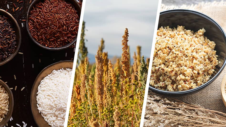 The Differences Between Rice and Quinoa and Where They Work Best on Your Menu